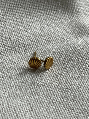 gold shell earring studs